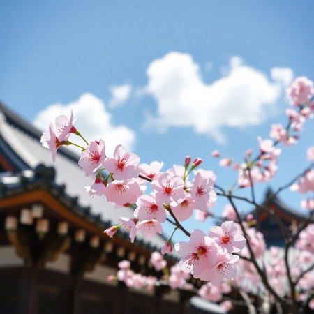 cherry blossom in front of the temple,shallow DOFの素材
