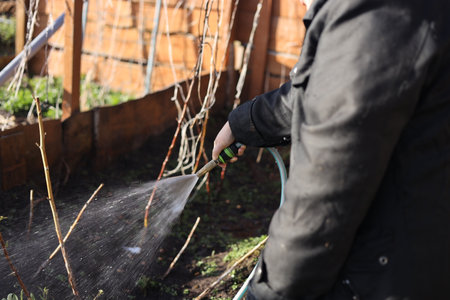 Close-up of gardener's hand watering plants in the gardenの素材