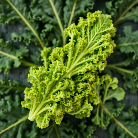 Fresh green kale leaves on wooden background, top view. Healthy food concept.の素材