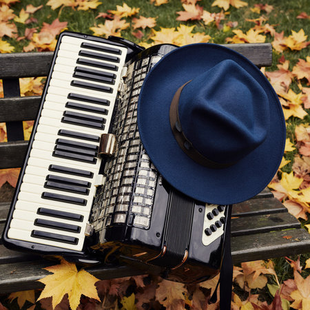Accordion and hat on a bench in the autumn park.の素材
