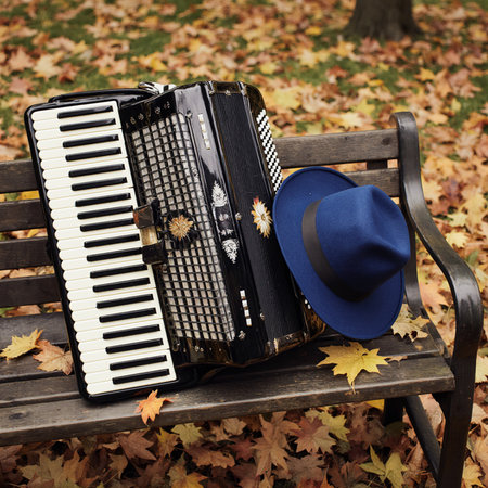 Accordion and hat on a bench in the autumn park.の素材