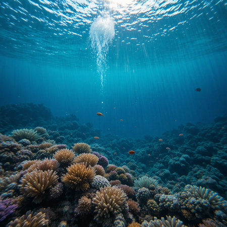Underwater view of coral reef with hard corals and tropical fishの素材