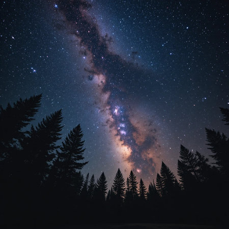 Milky Way and Pine Trees in the Forest. Long exposure photograph.の素材
