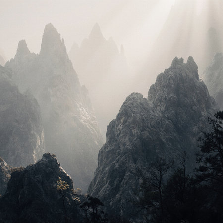 Misty mountain landscape in Huangshan National Park, China.の素材