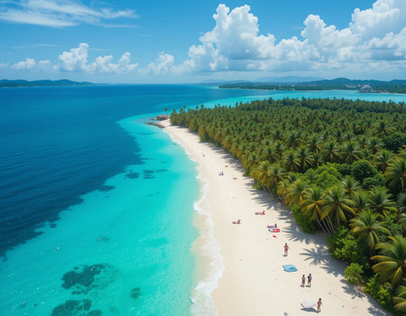 Aerial view of beautiful tropical beach and sea with coconut palm tree in paradise islandの素材