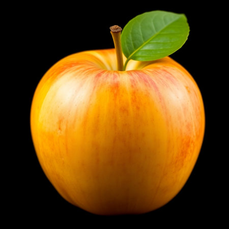 Ripe red apple with green leaf isolated on a black background.の素材