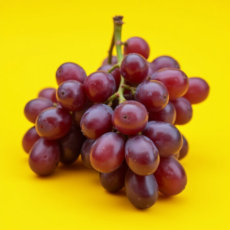 Bunch of red grapes isolated on yellow background. Close up.の素材