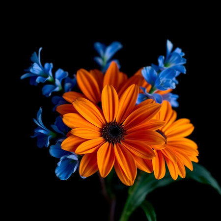 Beautiful bouquet of blue and orange flowers on a black backgroundの素材