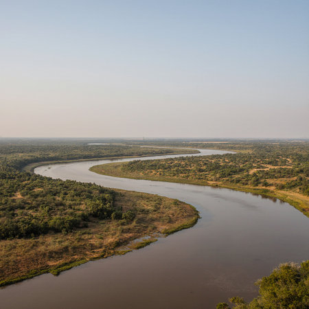 Aerial view of the river and forest. View from above.の素材