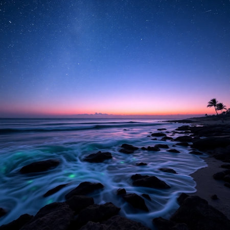 Beautiful view of the sea and the starry sky at sunsetの素材