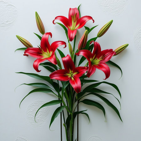 Bouquet of red lily flowers on a white background.の素材