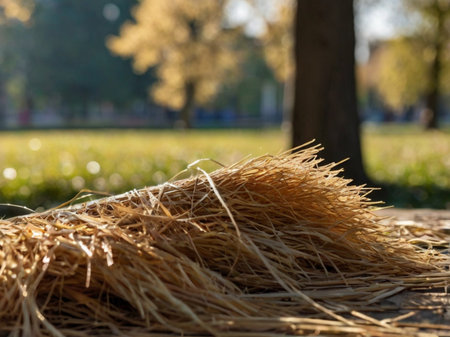 bales of straw on the ground in the park, close upの素材