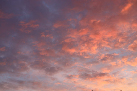 Cloudscape, Colored Clouds at Sunset near the Ocean as a Background