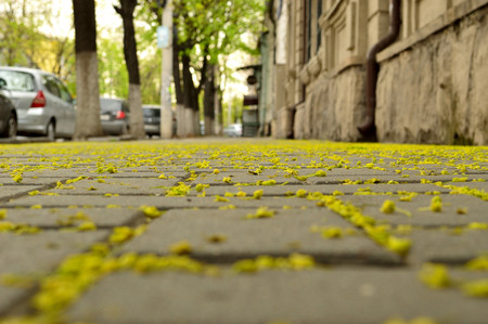 Beautiful photo of city street.の写真素材