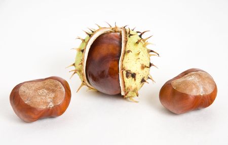 Chestnutの写真素材