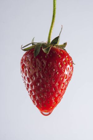 fresh red strawberries on a white background macroの写真素材