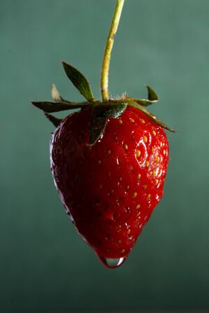 fresh red strawberries on a green background closeupの写真素材