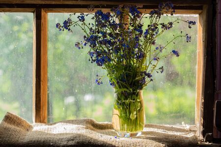 A small bouquet of blue forget me nots in a vase on a small window in the sunlightの写真素材