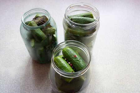 home canning homemade canned cucumbers saltedの写真素材