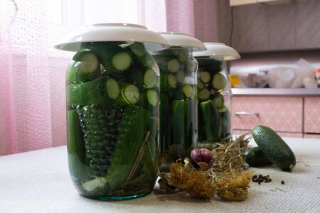 home canning homemade canned cucumbers salted harvesting vegetables for the winterの写真素材