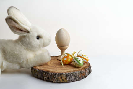 Little white rabbit with different color of ester eggs.の写真素材