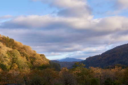 autumn in the mountainsの写真素材