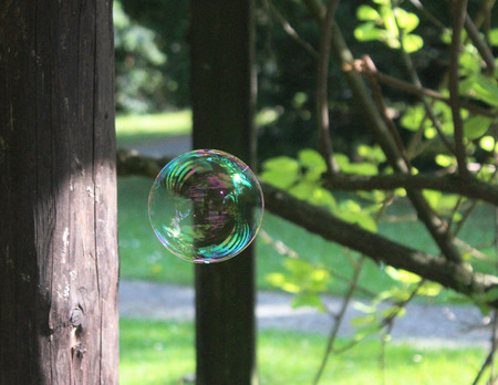 Fragile sphere - amazing soap bubble floating through a parkの写真素材