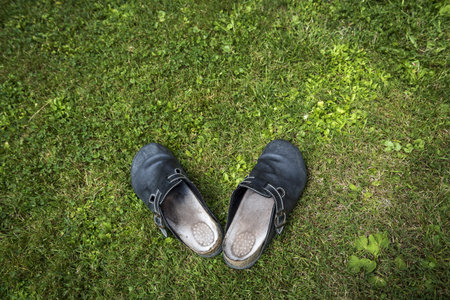 Old clogs on a green lawn