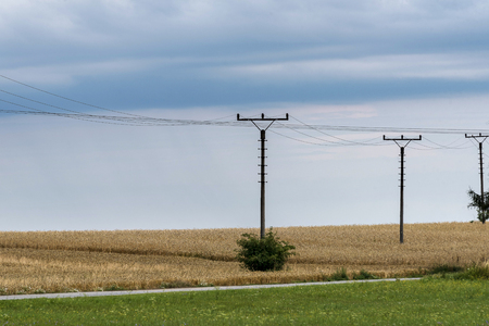 Columns with electric lines on the corn fieldの写真素材