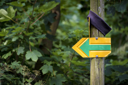 Yellow-green tourist arrow on field with tourist head