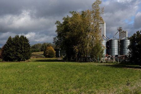 and a small factory behind a village between trees and meadowsの写真素材
