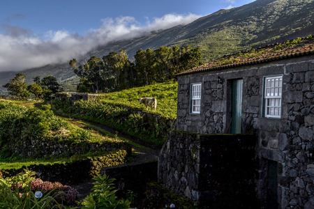 stone cottage at the foot of the mountains on the island of Picoの写真素材