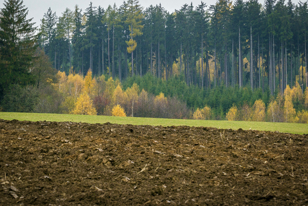 scorched field, green meadow, and multicolored forest in a small village in the Highlandsの写真素材
