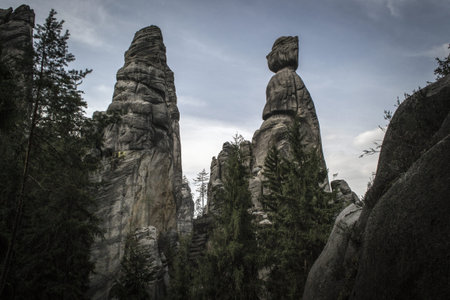 Tall Rocks rising among coniferous trees in the Adrspach rocksの写真素材