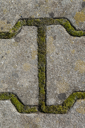 detail of the formula that created the moss on the pavement on the sidewalkの写真素材