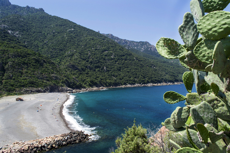 an empty pebble beach between the mountains on the island of Corsicaの写真素材