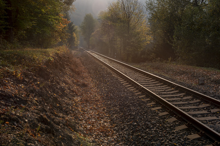 Railroad tracks running in the middle of a forest at sunset in autumnの写真素材