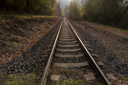straight rail tracks passing through the middle of the forest in the autumnの写真素材