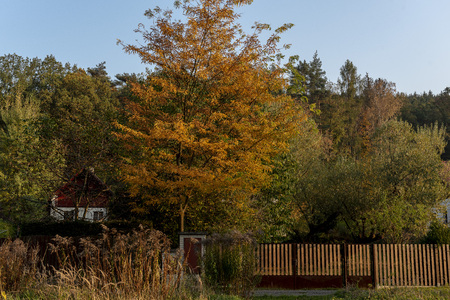 A white house with a red roof in the middle of a treeの写真素材