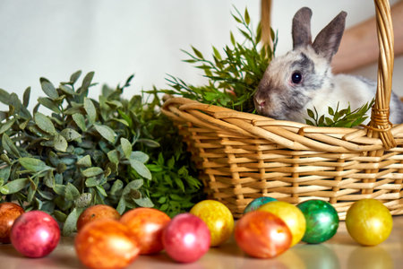 Easter bunny with colored eggs and basket. Festive hare with grass on white wall