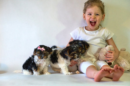 Happy child with dogs. A beautiful little girl holds puppies and laughs with them.の写真素材