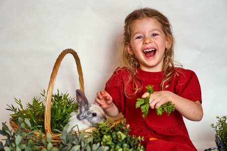 cheerful happy girl with easter bunny in a basket. Cute little girl holding cute fluffy rabbit isolated on white. Easter background with place text. Spring Beautiful girl play Easter bunny.の写真素材