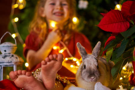 Merry Christmas happy holidays. Girl in white dress under tree with rabbitの写真素材