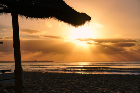 Sun rises over horizon dawn sea. Ocean at sunset. Sandy beach wave on seashore.