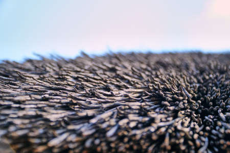 The texture of the scales on the bottom of the screen. Background for text and copy space. The branches of the tree are growing or scattered.の写真素材