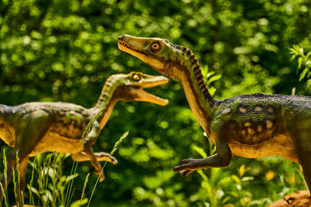 Deinonychus dinosaur in the dino park for kids. A couple or a flock of dinosaurs stands in the forest among the trees on a summer sunny day. extinct animal. Models Life of wild lizards.の写真素材