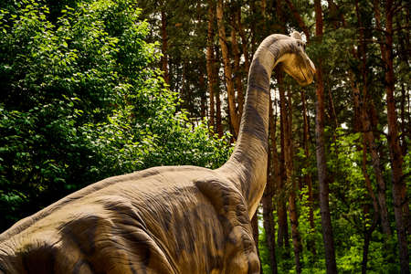 Diplodogus is a huge dinosaur in the dino park for kids. dinosaur stands in the forest among the trees on a summer sunny day. extinct animal. Models Life of wild lizards.の写真素材