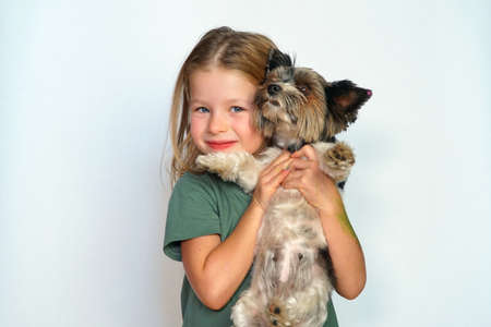 Portrait of a little girl and a dog. Child and pet on a white background. Copy space for text. A fun childhood with an animal. The puppy and daughter smile and laugh. game of friends from childhood.の写真素材