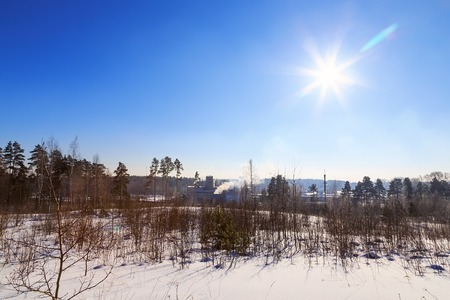 view of the plant with smoke from the pipe edge of the forest winter sun dayの写真素材