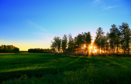 A sun setting over trees and field.の写真素材